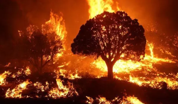 Dry lightning can still be disastrous even when conditions aren't dry.