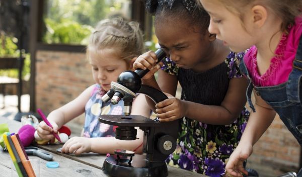 A citizen science program taught Girl Scouts to conduct research and tackle problems in their communities.