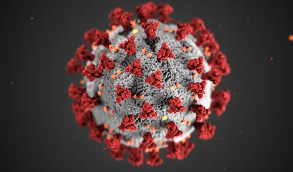 Detailed illustration of a coronavirus particle