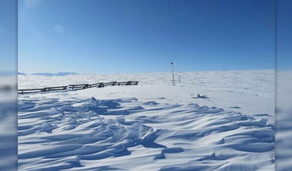 The ITEX snow fence experiment at Toolik Field Station in Alaska.