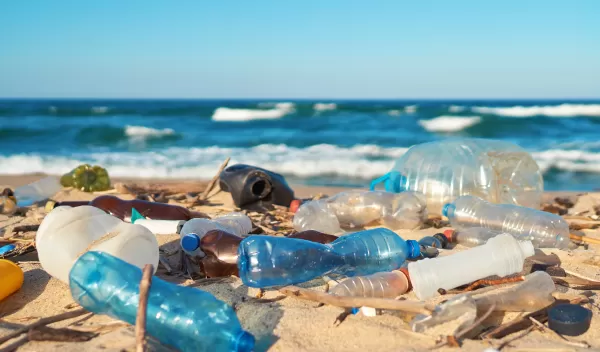 plastic bottles on the beach