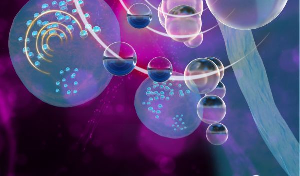Nano-sized bubbles allow macrophages to stand out from their fellow cells in ultrasound imagery.