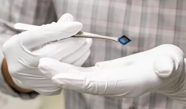 Researchers have developed a bio-inspired artificial neuron that can process visual and tactile sensory inputs together.