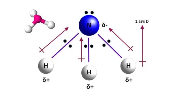 Ammonia could play a key role in a carbon-free fuel system but has many challenges.