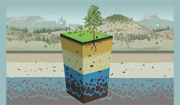 Artist's rendering of Earth's critical zone, the space between the tree canopy and the base of weathered bedrock.