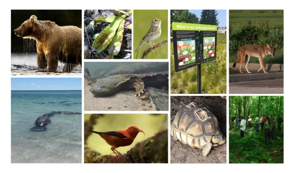Collage of images representing the FY2024 Partnership to Advance Conservation Sceience and Practice (PACSP) awardees.