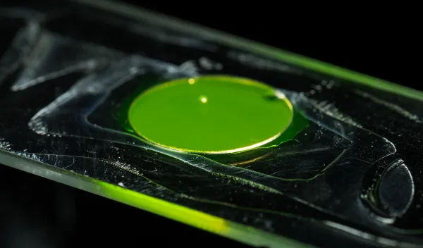 A microscope slide being prepared by Graduate Student Lynn Sidor to image the light-scattering of her glass-coated bacteria cells