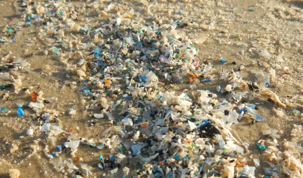 Microplastics on the Beach