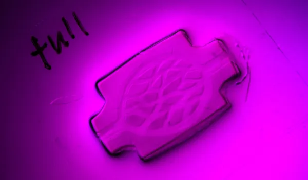 A 3D bioprinted tissue construct