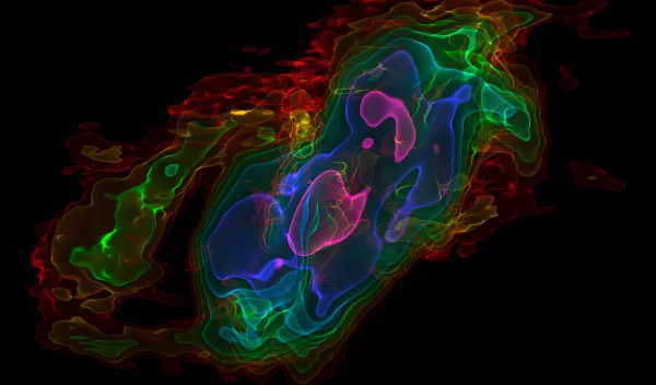 A visualization of cold carbon monoxide gas in the Sculptor Galaxy captured by the Atacama Large Millimeter/submillimeter Array (ALMA).