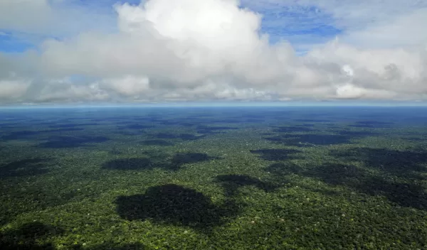 Aerial view of the Amazon Rainforest, near Manaus, the capital of the Brazilian state of Amazonas.