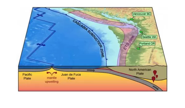 The Cascadia Subduction Zone, located in the U.S. Pacific Northwest and southwestern British Columbia, has hosted magnitude ≥8.0 megathrust earthquakes in the geologic past, a future earthquake is imminent, and the potential impacts could cripple the region. Subduction zone earthquakes represent some of the most devastating natural hazards on Earth.