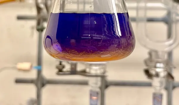 Purple gloved hand holding a clear glass beaker containing purple liquid in a laboratory setting.