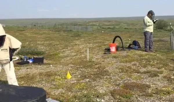 Researchers at Toolik Field Station