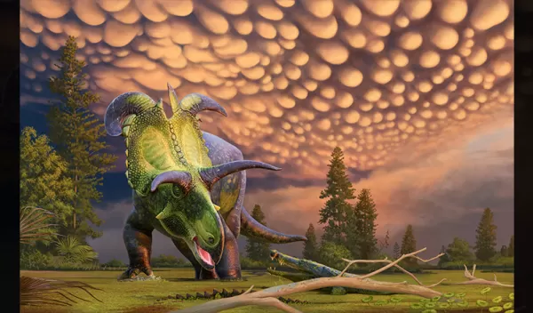 New species of dinosaur, Lokiceratops rangiformis