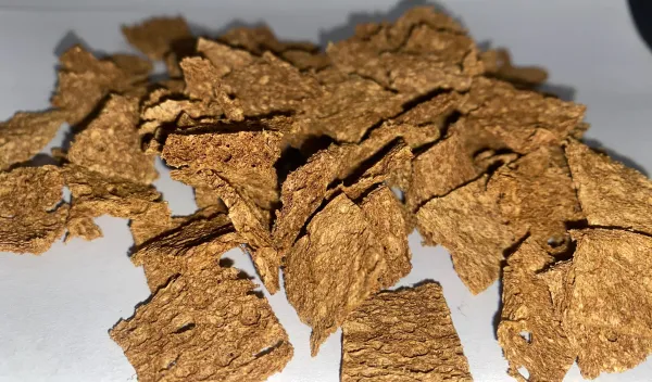 Picture of the sponge nanocomposites