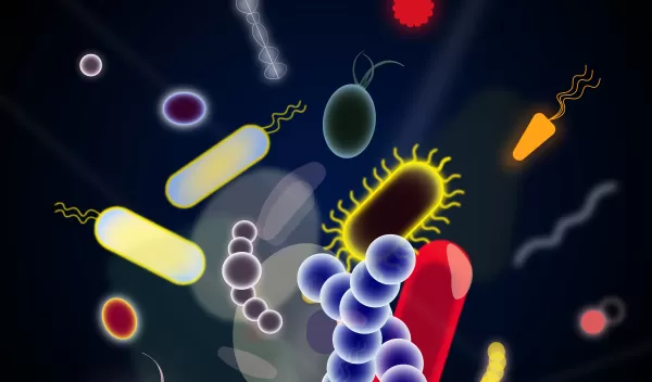 Complex and diverse bacterial ecology