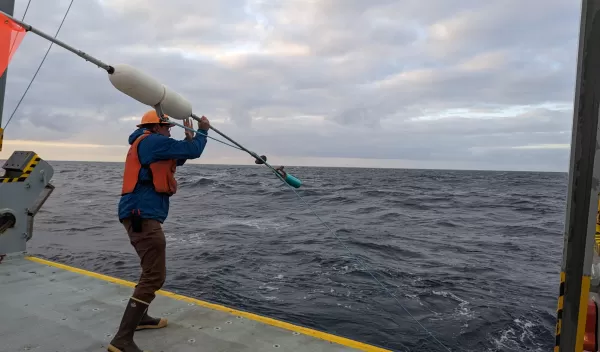 man deploying sediment trap