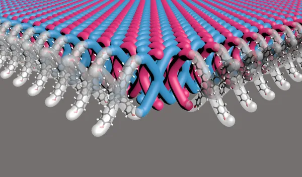 A Northwestern University-led research team has developed the first two-dimensional (2D) mechanically interlocked material. With 100 trillion mechanical bonds per 1 square centimeter, the new material contains highest density of mechanical bonds ever achieved.