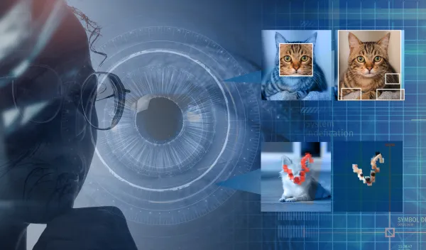 training AI model to perform