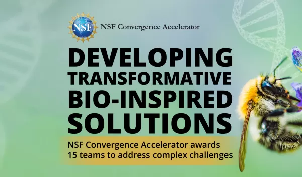 Track M Award Announcement Banner