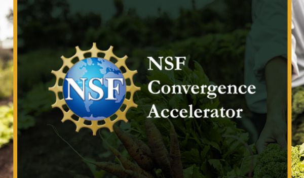NSF convergence accelerator banner with a person in field of vegetables