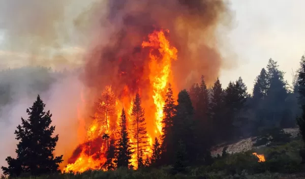 NSF PREEVENTS investigators are conducting research on natural hazards from wildfires to hurricanes to tornadoes and beyond.