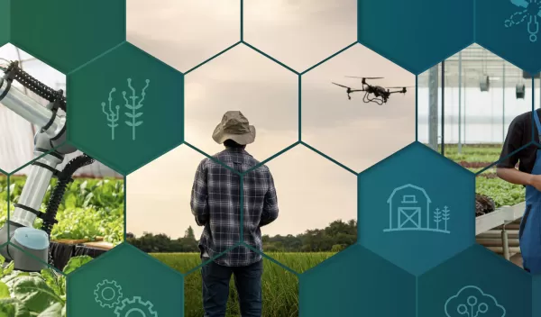 honey comb design banner with a collage of imagery that include someone in a field flying a drone; a greenery house with a robotic arm taking care of plants; and two people walking through a greenery house.