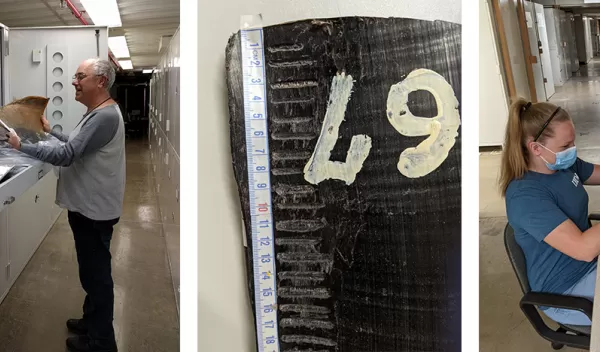 Analysis of historic baleen plates, the comb structures that are used by some species of whales to filter food, from Southern Hemisphere blue and fin whales.