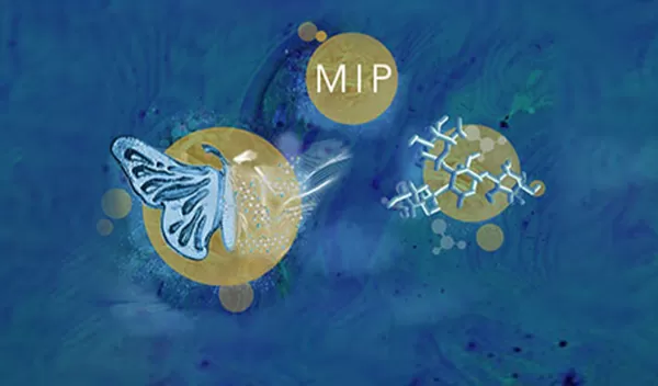 illustration with a collage with a butterfly, and DNA graphic