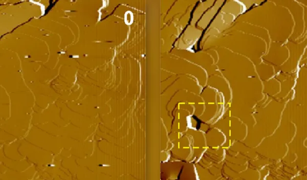 the growth of new layers on cholesterol monohydrate surfaces