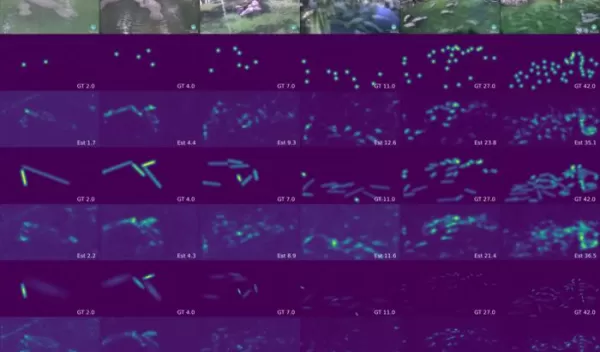 graphic collage of examples of algorithm performance in different manatee densities in the scene.