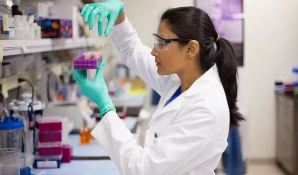 Closeup portrait, young scientist in labcoat wearing nitrile gloves, doing experiments in lab, academic sector.