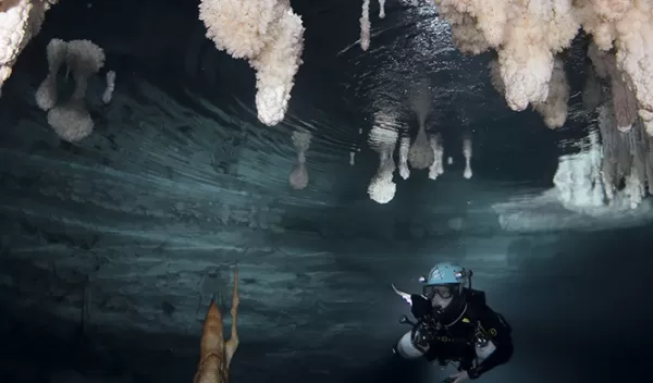 Cave diver collects underwater calcite encrustations for the study.