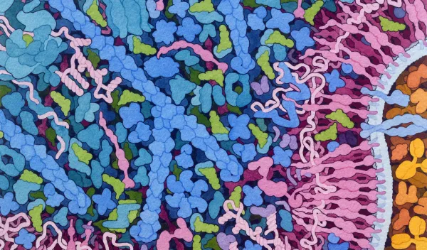 Transfer RNA and Gag Protein