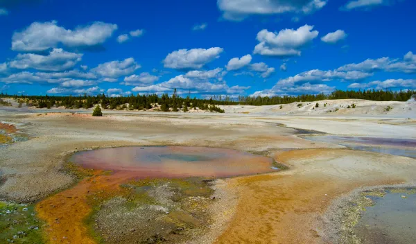 A colorful pool of water in Yellowstone