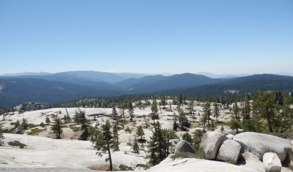 granite domes and conifer trees in the mountains