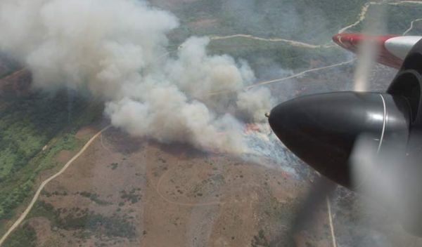 aerial view of wildfire, smoke and flames covering large area of field