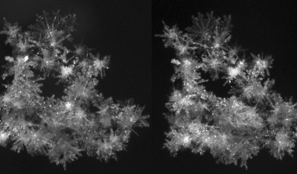 two images of a snowflake
