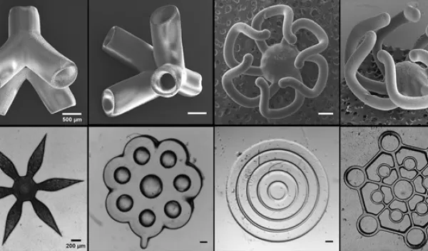 Examples of the geometries the high-throughput 3D bioprinter can rapidly produce.