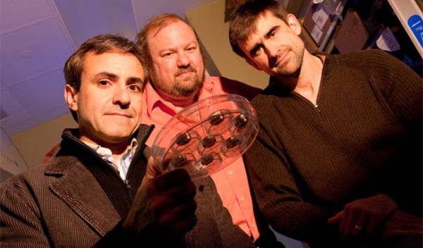 From right, Tom Killian and Robert Raphael, both of Rice, and Glauco Souza of Nano3D Biosciences.