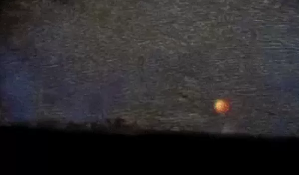 Video of the ignition of pine needles by contact with a hot steel particle