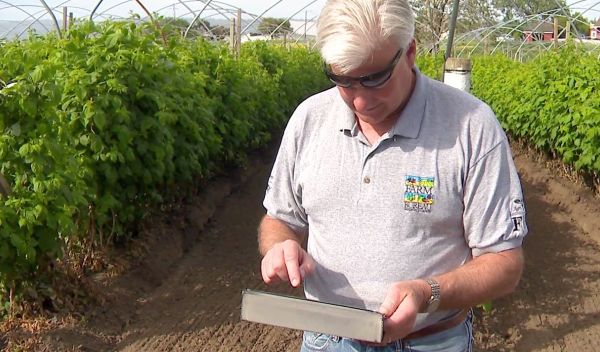 Berry Farmer John Eiskamp checks soil tension on his farm using his iPad.