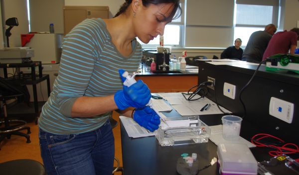 At City College of San Francisco, student Daniela Cardenas prepares DNA for analysis
