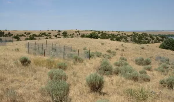 Nutrient Network fencingin a field at the Cedar Point Biological Station in Oglalla, Nebraska.