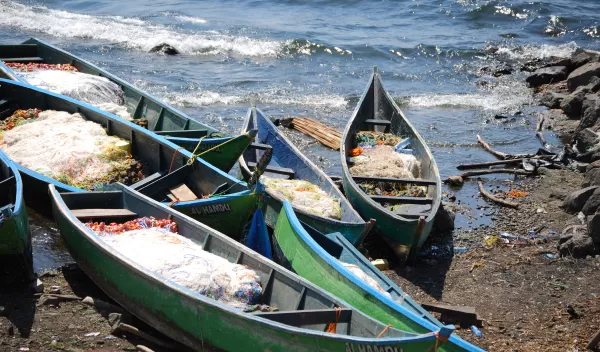 Fishing boats ply the waters of Africa's Lake Victoria, site of the research study.