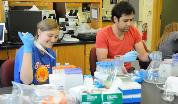 researchers in a lab