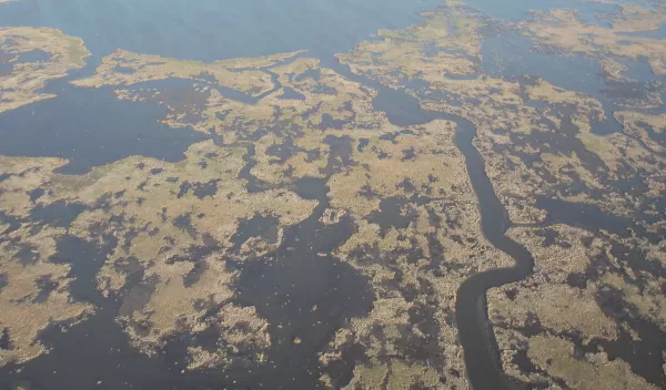 Aerial view of degrading marsh in southeastern Louisiana.