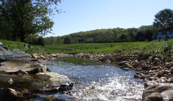 Stream restoration involving reconnection of an urban waterway near Baltimore with its floodplain.