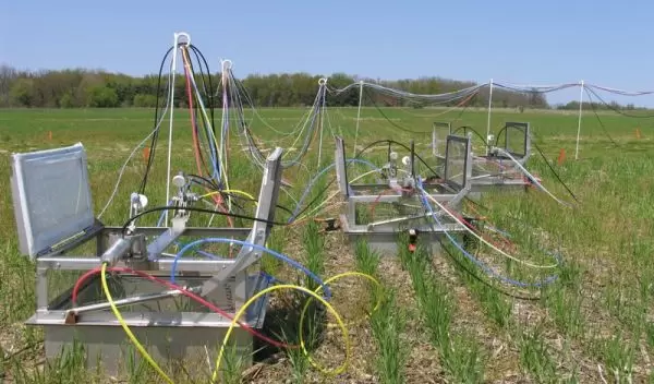 Automated chambers in use a young stand of wheat.